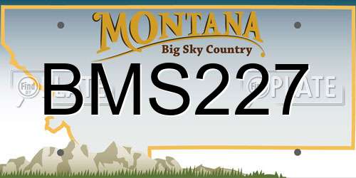 BMS227 Montana License Plate