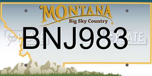 BNJ983 Montana License Plate