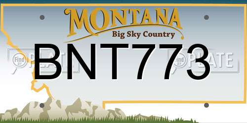 BNT773 Montana License Plate