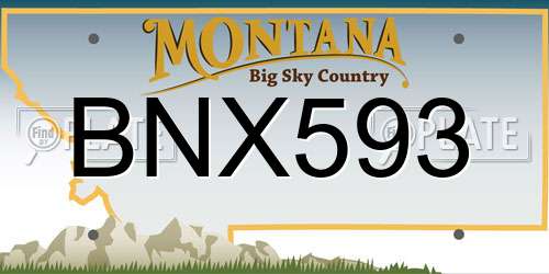 BNX593 Montana License Plate
