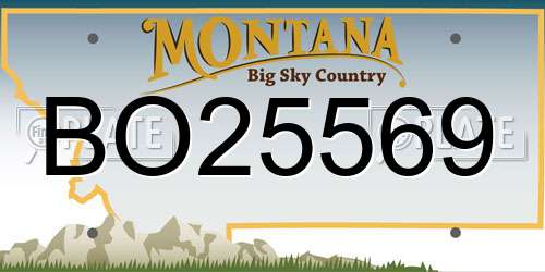 BO25569 Montana License Plate