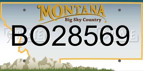 BO28569 Montana License Plate