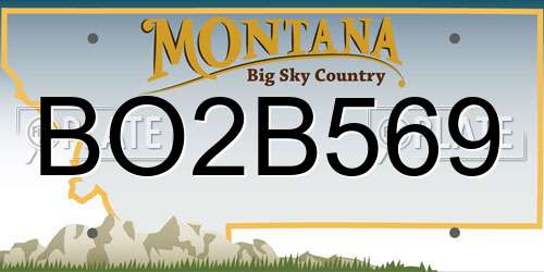 BO2B569 Montana License Plate