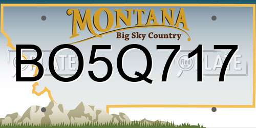 BO5Q717 Montana License Plate