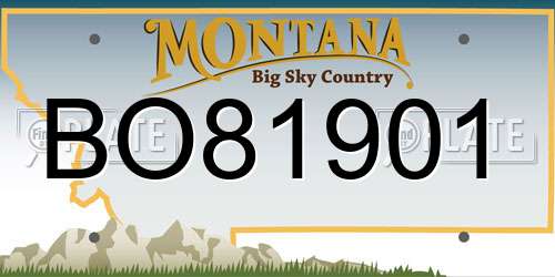 BO81901 Montana License Plate