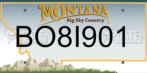 BO8I901 Montana License Plate