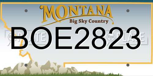BOE2823 Montana License Plate