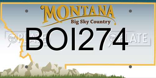 BOI274 Montana License Plate
