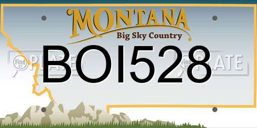 BOI528 Montana License Plate