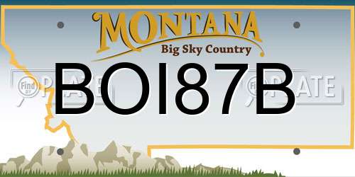 BOI87B Montana License Plate