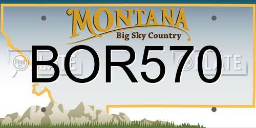 BOR570 Montana License Plate