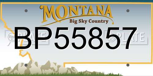 BP55857 Montana License Plate