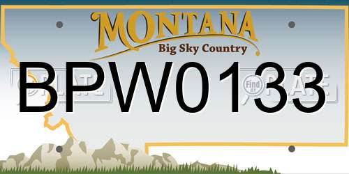 BPW0133 Montana License Plate