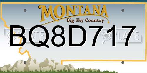 BQ8D717 Montana License Plate