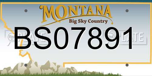 BS07891 Montana License Plate