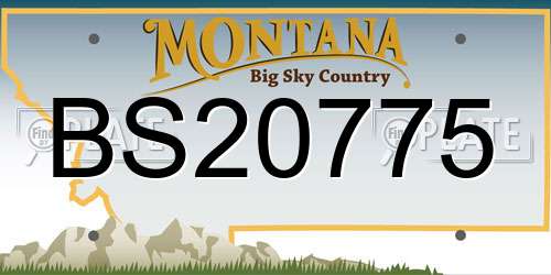 BS20775 Montana License Plate