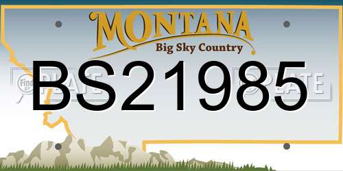 BS21985 Montana License Plate