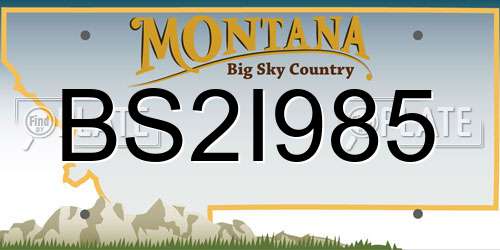 BS2I985 Montana License Plate