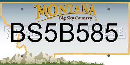 BS5B585 Montana License Plate