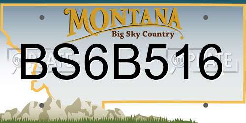 BS6B516 Montana License Plate