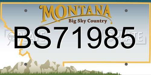 BS71985 Montana License Plate