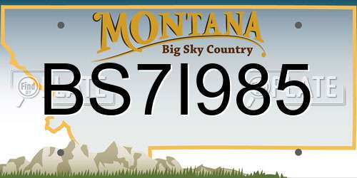 BS7I985 Montana License Plate