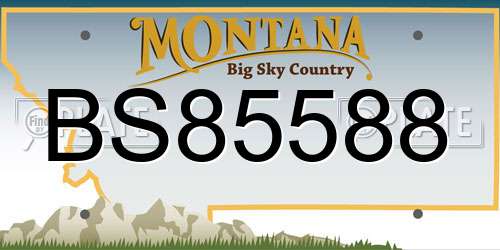 BS85588 Montana License Plate
