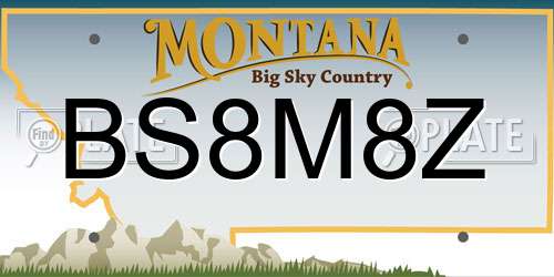 BS8M8Z Montana License Plate