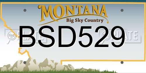 BSD529 Montana License Plate