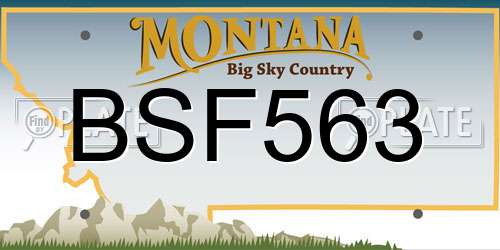 BSF563 Montana License Plate
