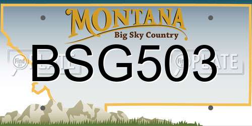 BSG503 Montana License Plate
