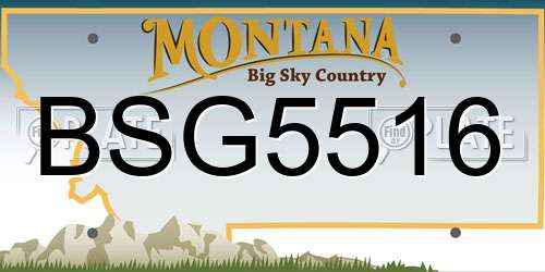 BSG5516 Montana License Plate