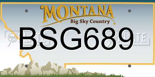 BSG689 Montana License Plate
