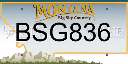 BSG836 Montana License Plate