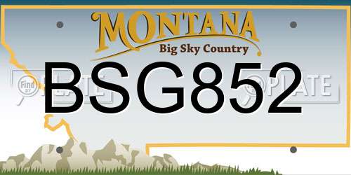 BSG852 Montana License Plate
