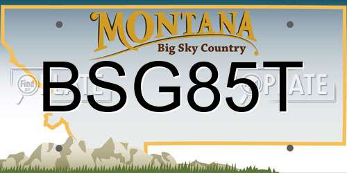 BSG85T Montana License Plate