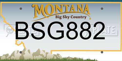 BSG882 Montana License Plate