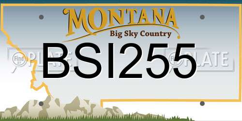 BSI255 Montana License Plate