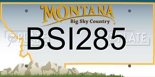 BSI285 Montana License Plate
