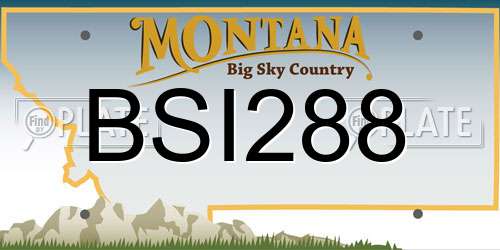 BSI288 Montana License Plate