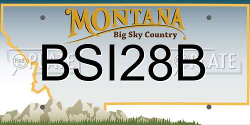 BSI28B Montana License Plate