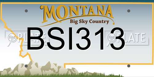 BSI313 Montana License Plate
