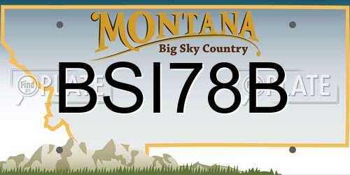 BSI78B Montana License Plate