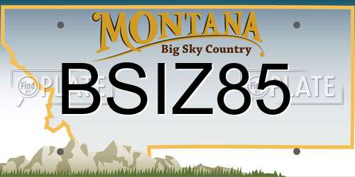 BSIZ85 Montana License Plate
