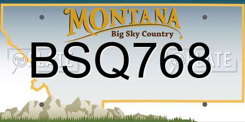 BSQ768 Montana License Plate