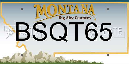 BSQT65 Montana License Plate