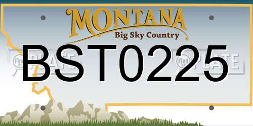 BST0225 Montana License Plate