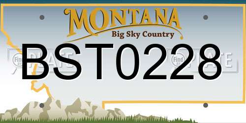 BST0228 Montana License Plate
