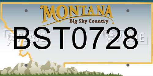 BST0728 Montana License Plate