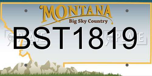 BST1819 Montana License Plate